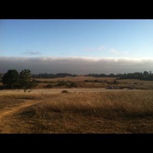 Meet your Posher, Lily